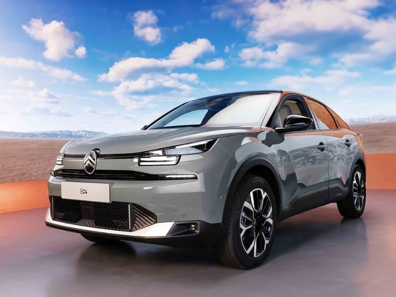 Citroen Partikül Sorunları